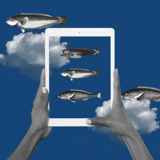 Abstract illustration of iPad and fish
